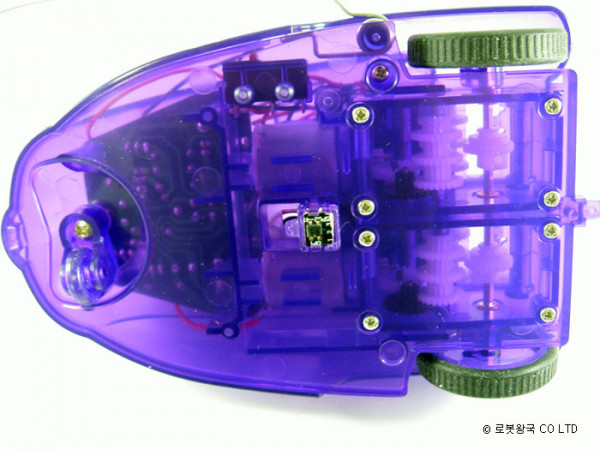 16_copy3.jpg