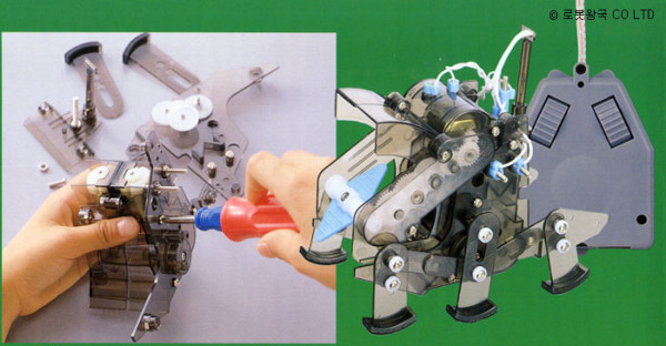 2_copy6.jpg