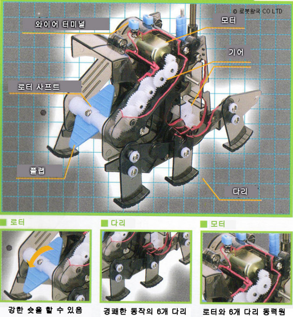 3_copy6.jpg