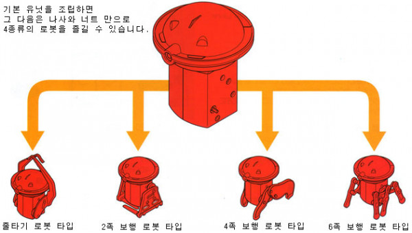 7_copy4.jpg