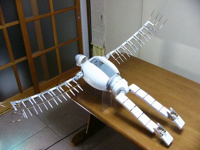 20.jpg 20.jpg